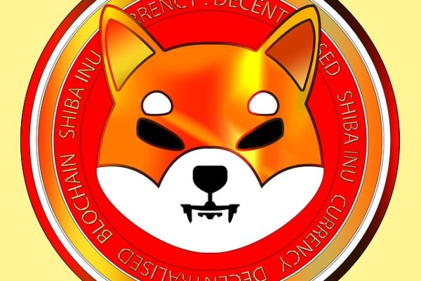 Shiba Inu Coin – Geht der Aufstieg des Coins weiter?!